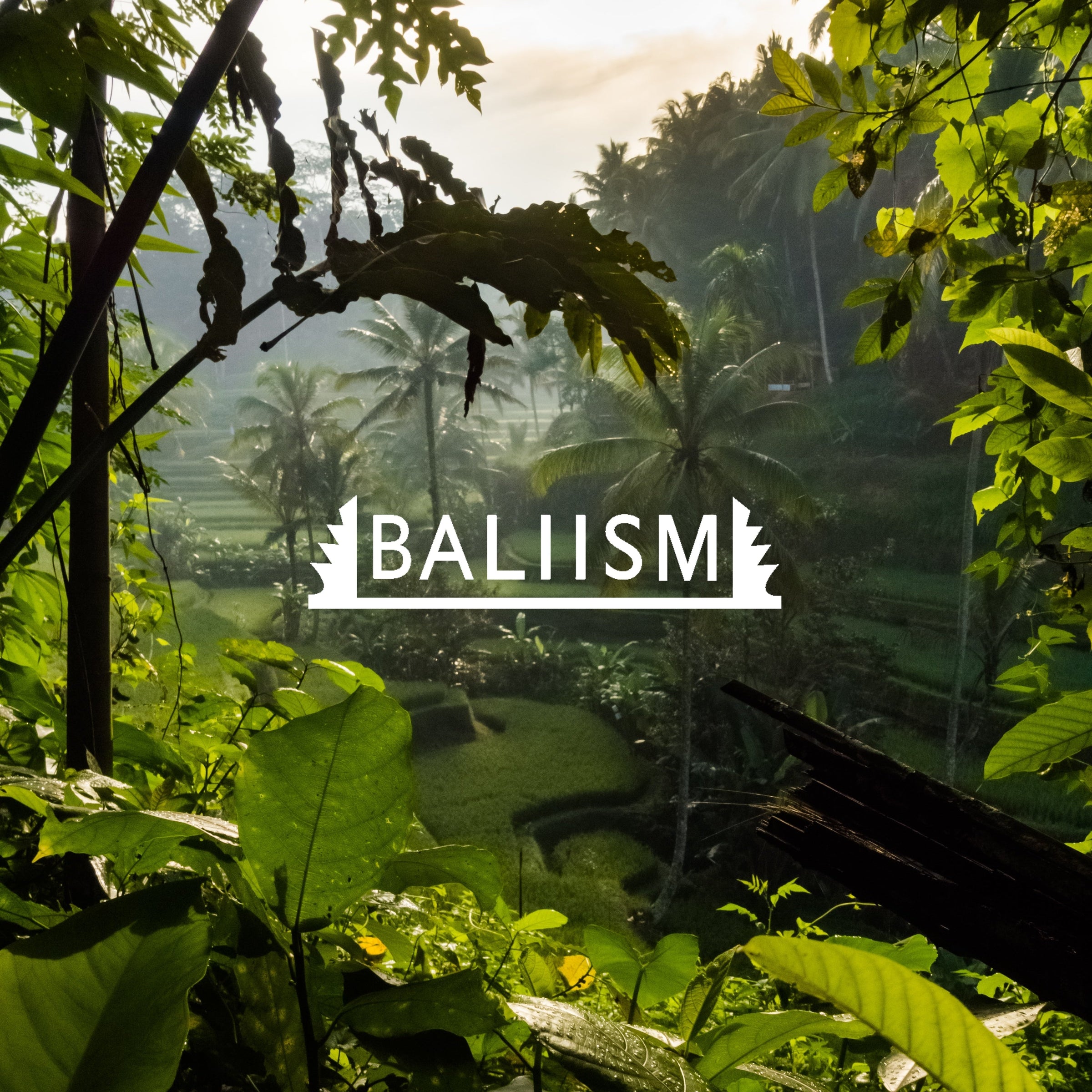 BALIISM サスティナブル雑貨 カトラリー バリ島