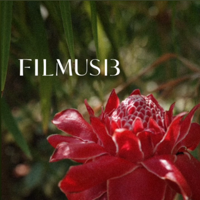 FILMUS13